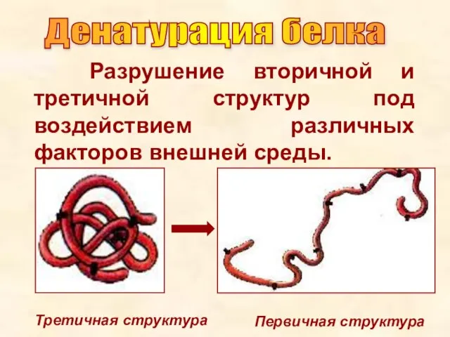 Разрушение вторичной и третичной структур под воздействием различных факторов внешней среды. Третичная