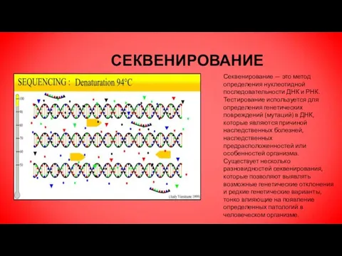 СЕКВЕНИРОВАНИЕ Секвенирование — это метод определения нуклеотидной последовательности ДНК и РНК. Тестирование