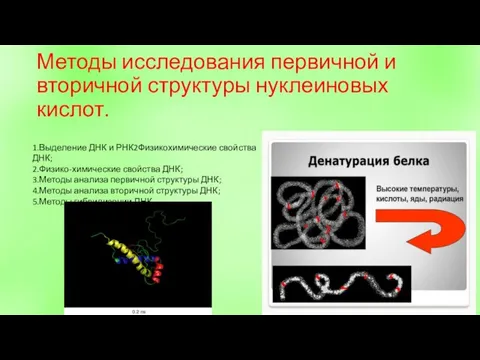 Методы исследования первичной и вторичной структуры нуклеиновых кислот. 1.Выделение ДНК и РНК2Физикохимические