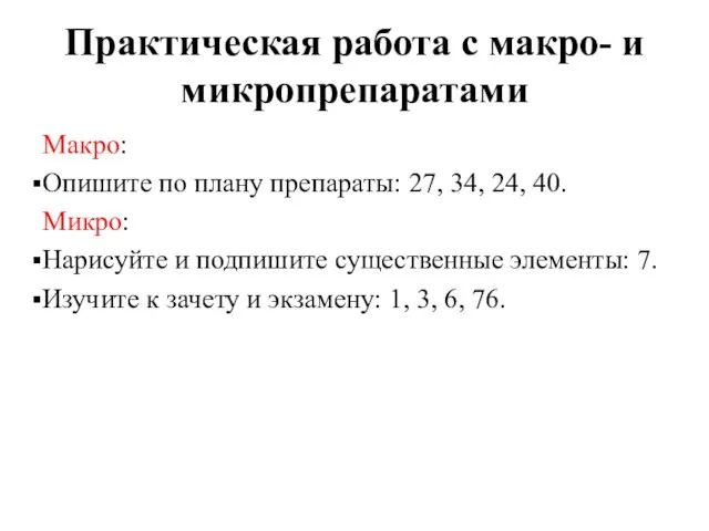 Практическая работа с макро- и микропрепаратами Макро: Опишите по плану препараты: 27,