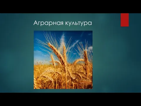 Аграрная культура