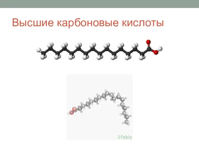 Высшие карбоновые кислоты