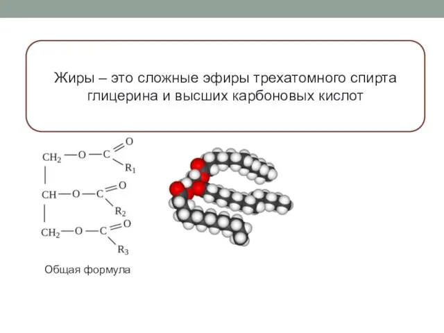 Жиры – это сложные эфиры трехатомного спирта глицерина и высших карбоновых кислот Общая формула