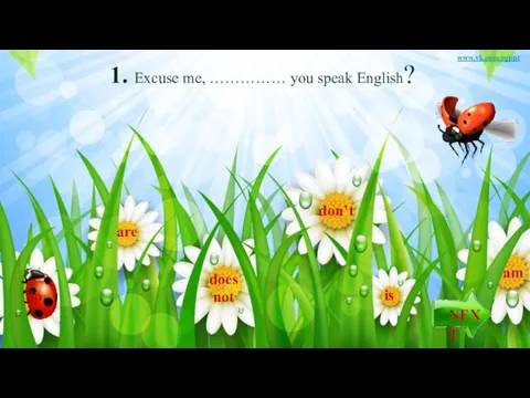 1. Excuse me, …………… you speak English? does not do are is am don’t www.vk.com/egppt