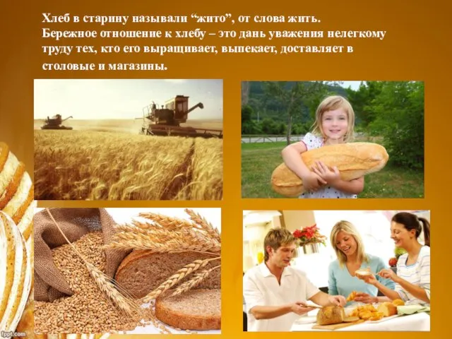 Хлеб в старину называли “жито”, от слова жить. Бережное отношение к хлебу