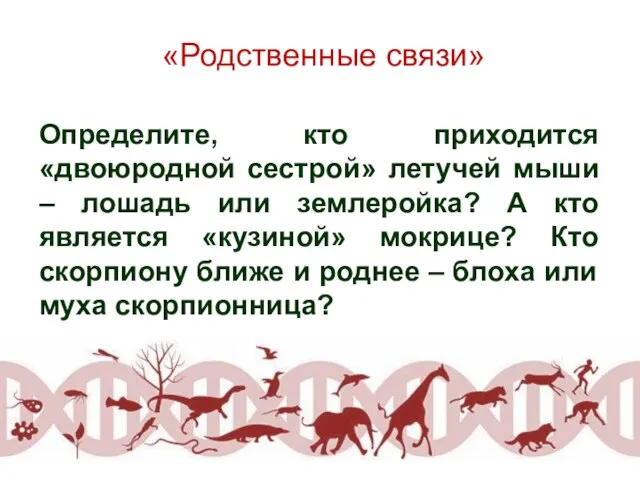 «Родственные связи» Определите, кто приходится «двоюродной сестрой» летучей мыши – лошадь или