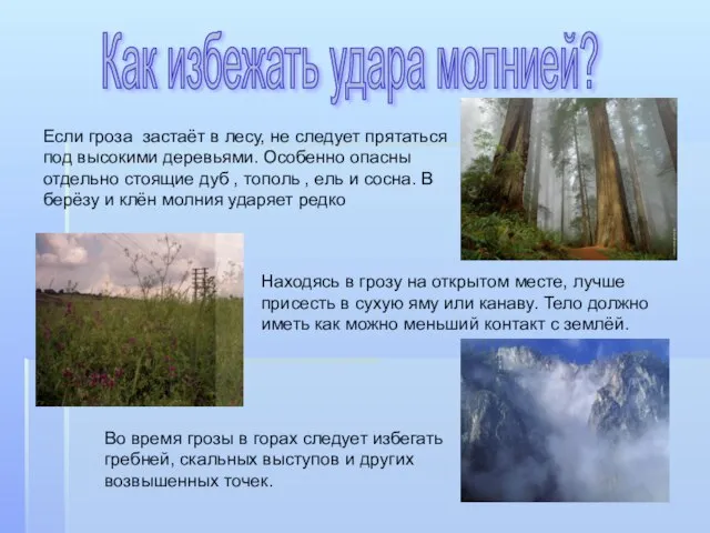 Как избежать удара молнией? Если гроза застаёт в лесу, не следует прятаться