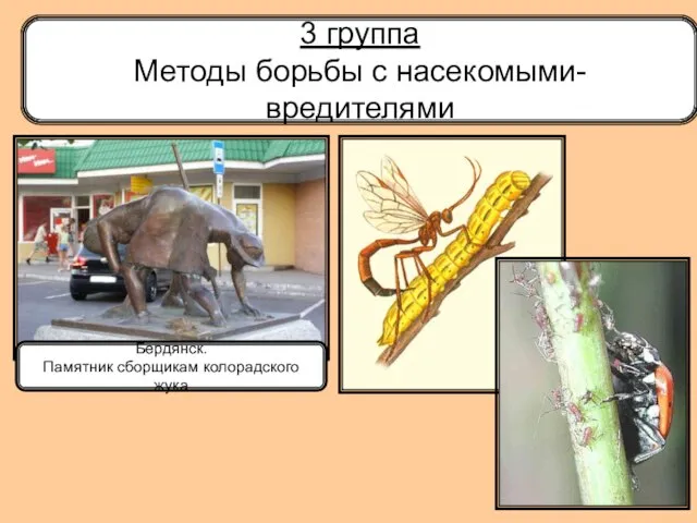 3 группа Методы борьбы с насекомыми- вредителями Бердянск. Памятник сборщикам колорадского жука