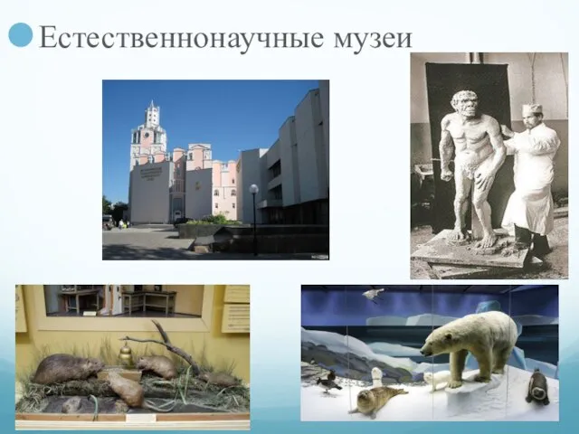 Естественнонаучные музеи