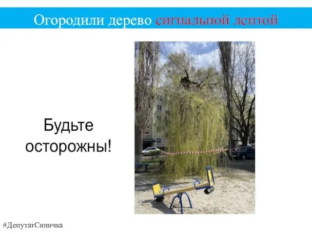 #ДепутатСиничка Огородили дерево сигнальной лентой
