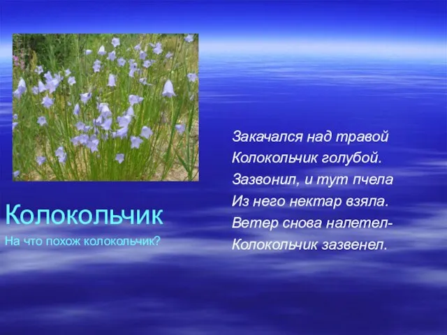 Закачался над травой Колокольчик голубой. Зазвонил, и тут пчела Из него нектар