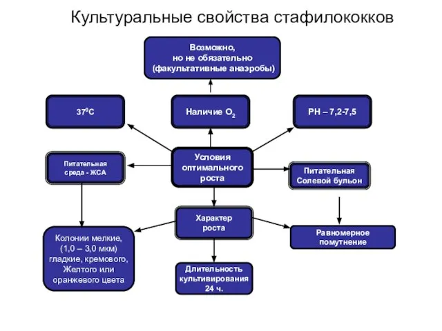 Культуральные свойства стафилококков Равномерное помутнение Возможно, но не обязательно (факультативные анаэробы) РН