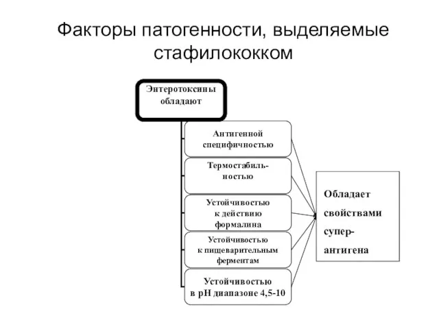 Факторы патогенности, выделяемые стафилококком Обладает свойствами супер- антигена