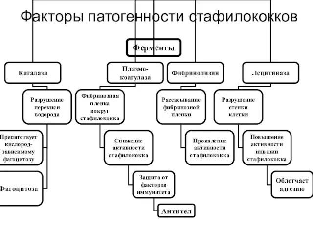 Факторы патогенности стафилококков