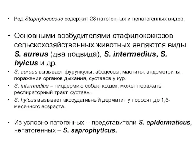 Род Staphylococcus содержит 28 патогенных и непатогенных видов. Основными возбудителями стафилококкозов сельскохозяйственных