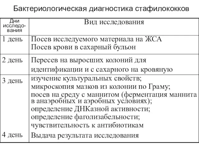 Бактериологическая диагностика стафилококков