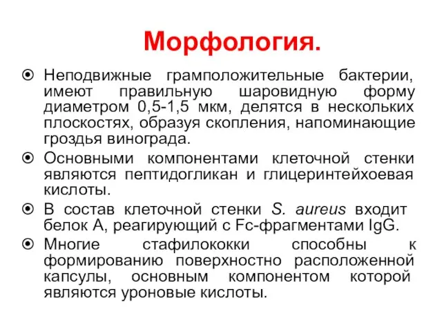 Морфология. Неподвижные грамположительные бактерии, имеют правильную шаровидную форму диаметром 0,5-1,5 мкм, делятся