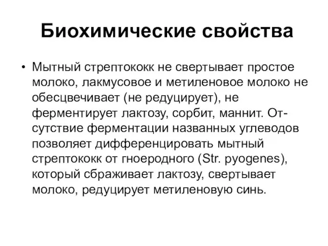 Биохимические свойства Мытный стрептококк не свертывает простое молоко, лакмусовое и метиленовое молоко