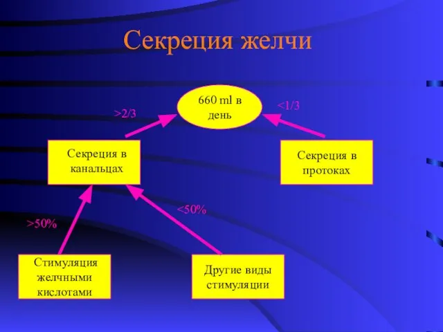 Секреция желчи 660 ml в день Секреция в протоках Стимуляция желчными кислотами