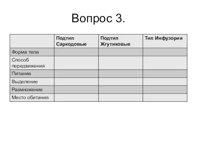 Вопрос 3.