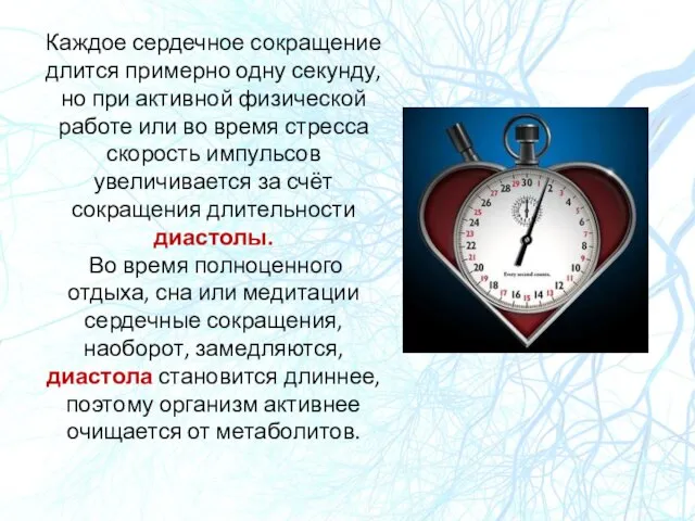 Каждое сердечное сокращение длится примерно одну секунду, но при активной физической работе