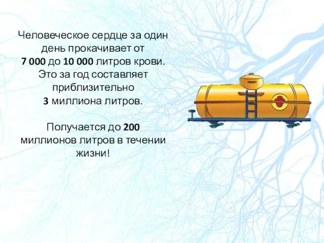 Человеческое сердце за один день прокачивает от 7 000 до 10 000