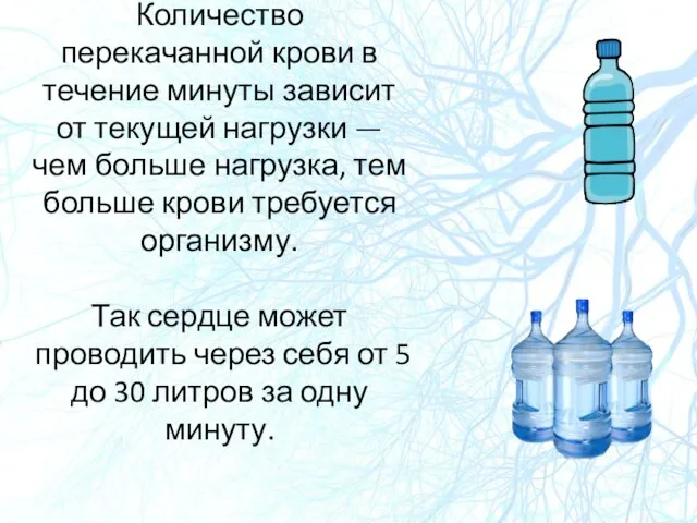 Количество перекачанной крови в течение минуты зависит от текущей нагрузки — чем