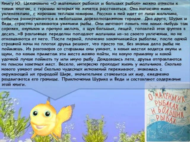 Книгу Ю. Цехановича «О маленьких рыбаках и больших рыбах» можно отнести к