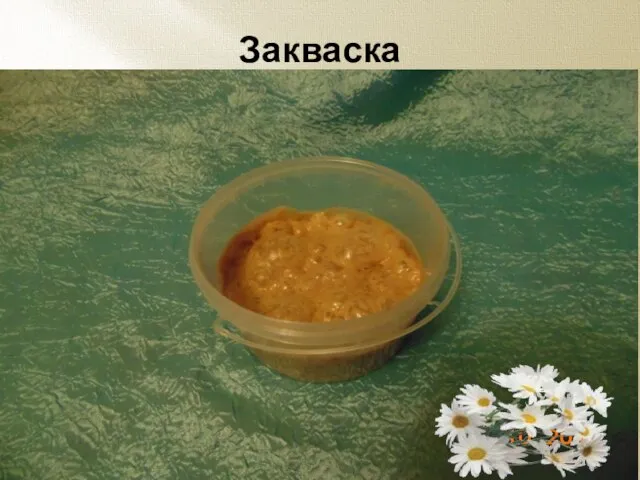 Закваска