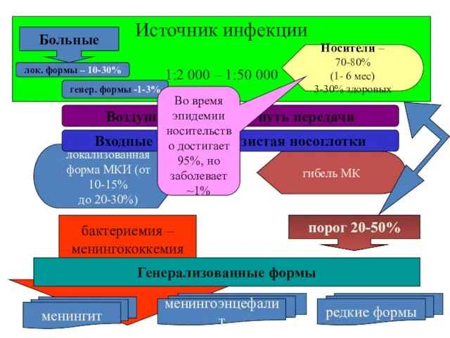 Источник инфекции 1:2 000 – 1:50 000 бактериемия – менингококкемия порог 20-50%