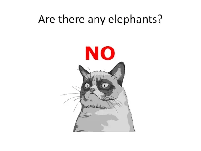 Are there any elephants?