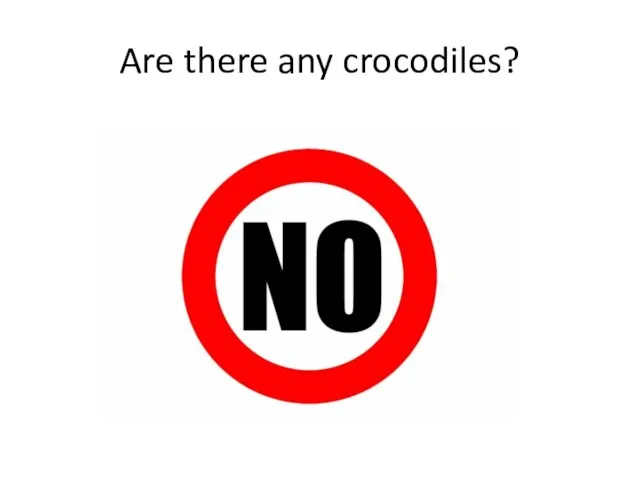 Are there any crocodiles?