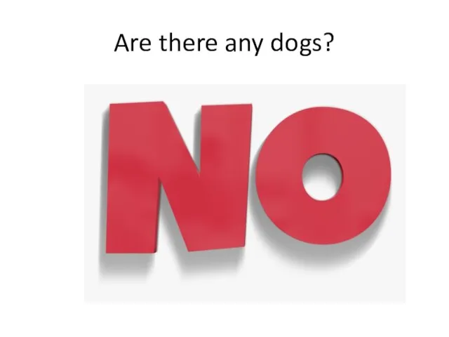 Are there any dogs?