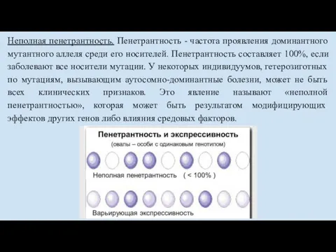 Неполная пенетрантность. Пенетрантность - частота проявления доминантного мутантного аллеля среди его носителей.