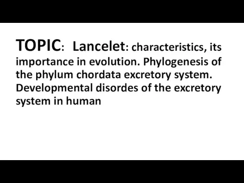 TOPIC: Lancelet: characteristics, its importance in evolution. Phylogenesis of the phylum chordata