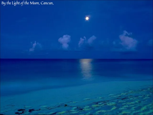 By the Light of the Moon, Cancun,