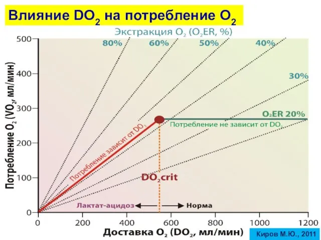 Влияние DO2 на потребление О2 Киров М.Ю., 2011