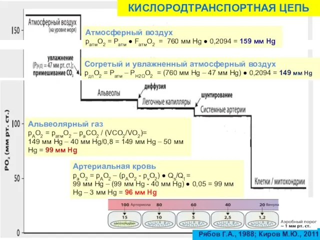 КИСЛОРОДТРАНСПОРТНАЯ ЦЕПЬ Атмосферный воздух ратмО2 = Ратм ● FатмО2 = 760 мм