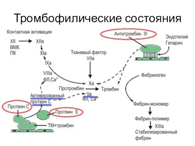 Тромбофилические состояния