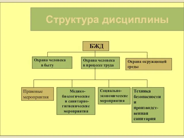 Структура дисциплины БЖД Охрана человека в быту Охрана человека в процессе труда