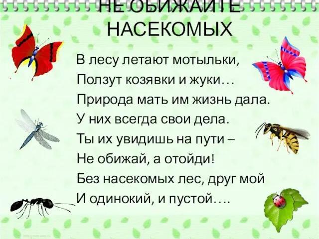 НЕ ОБИЖАЙТЕ НАСЕКОМЫХ В лесу летают мотыльки, Ползут козявки и жуки… Природа