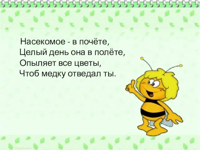 Насекомое - в почёте, Целый день она в полёте, Опыляет все цветы, Чтоб медку отведал ты.