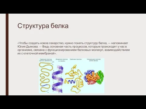 Структура белка «Чтобы создать новое лекарство, нужно понять структуру белка, — напоминает