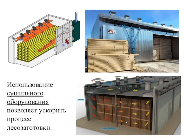 Использование сушильного оборудования позволяет ускорить процесс лесозаготовки.