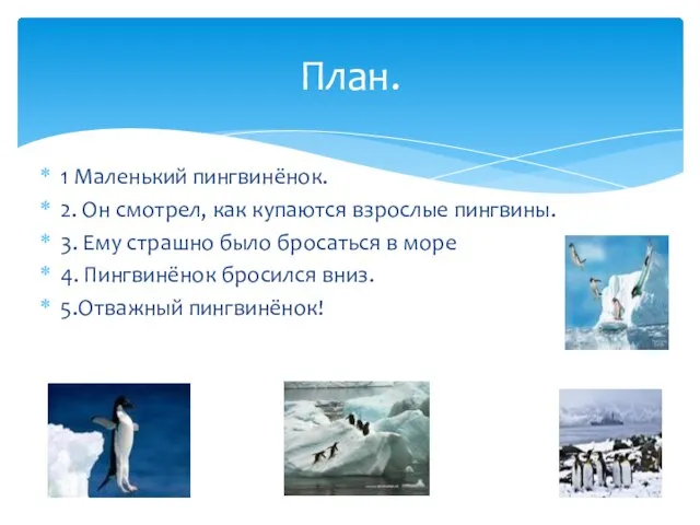 1 Маленький пингвинёнок. 2. Он смотрел, как купаются взрослые пингвины. 3. Ему