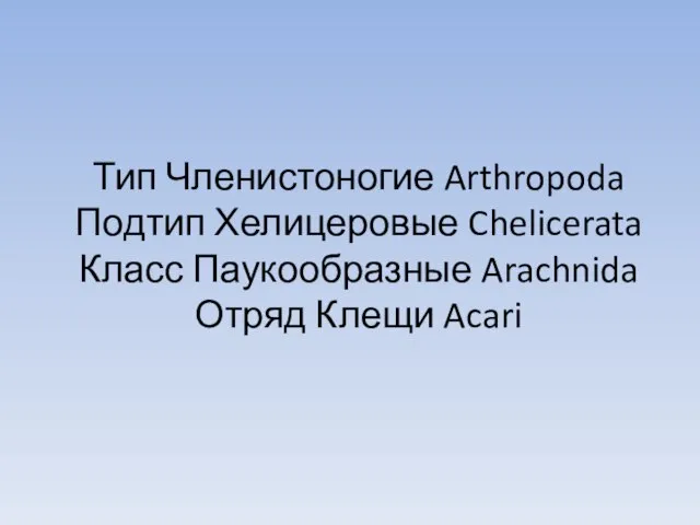 Тип Членистоногие Arthropoda Подтип Хелицеровые Chelicerata Класс Паукообразные Arachnida Отряд Клещи Acari