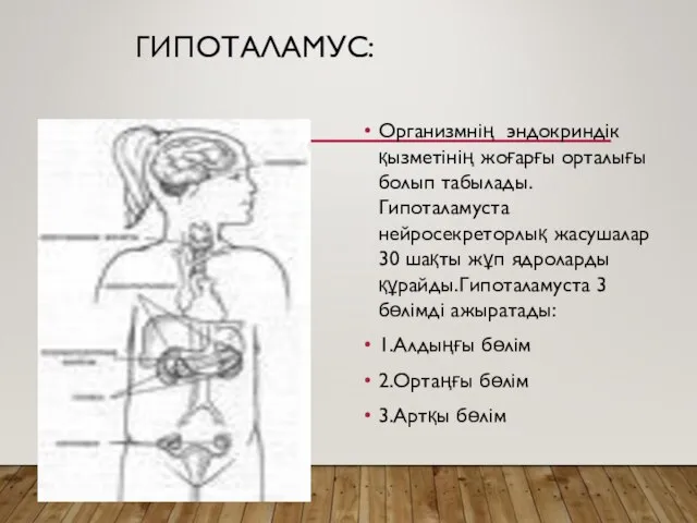 ГИПОТАЛАМУС: Организмнің эндокриндік қызметінің жоғарғы орталығы болып табылады.Гипоталамуста нейросекреторлық жасушалар 30 шақты