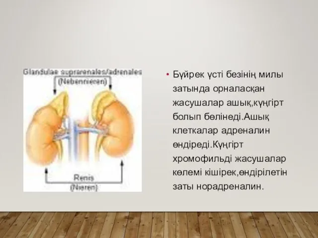 Бүйрек үсті безінің милы затында орналасқан жасушалар ашық,күңгірт болып бөлінеді.Ашық клеткалар адреналин