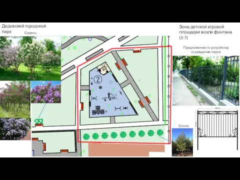 Дедовский городской парк Зона детской игровой площадки возле фонтана (3-7) Сосна Сирень