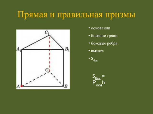 Прямая и правильная призмы Sбок = Роснh основания боковые грани боковые ребра высота Sбок